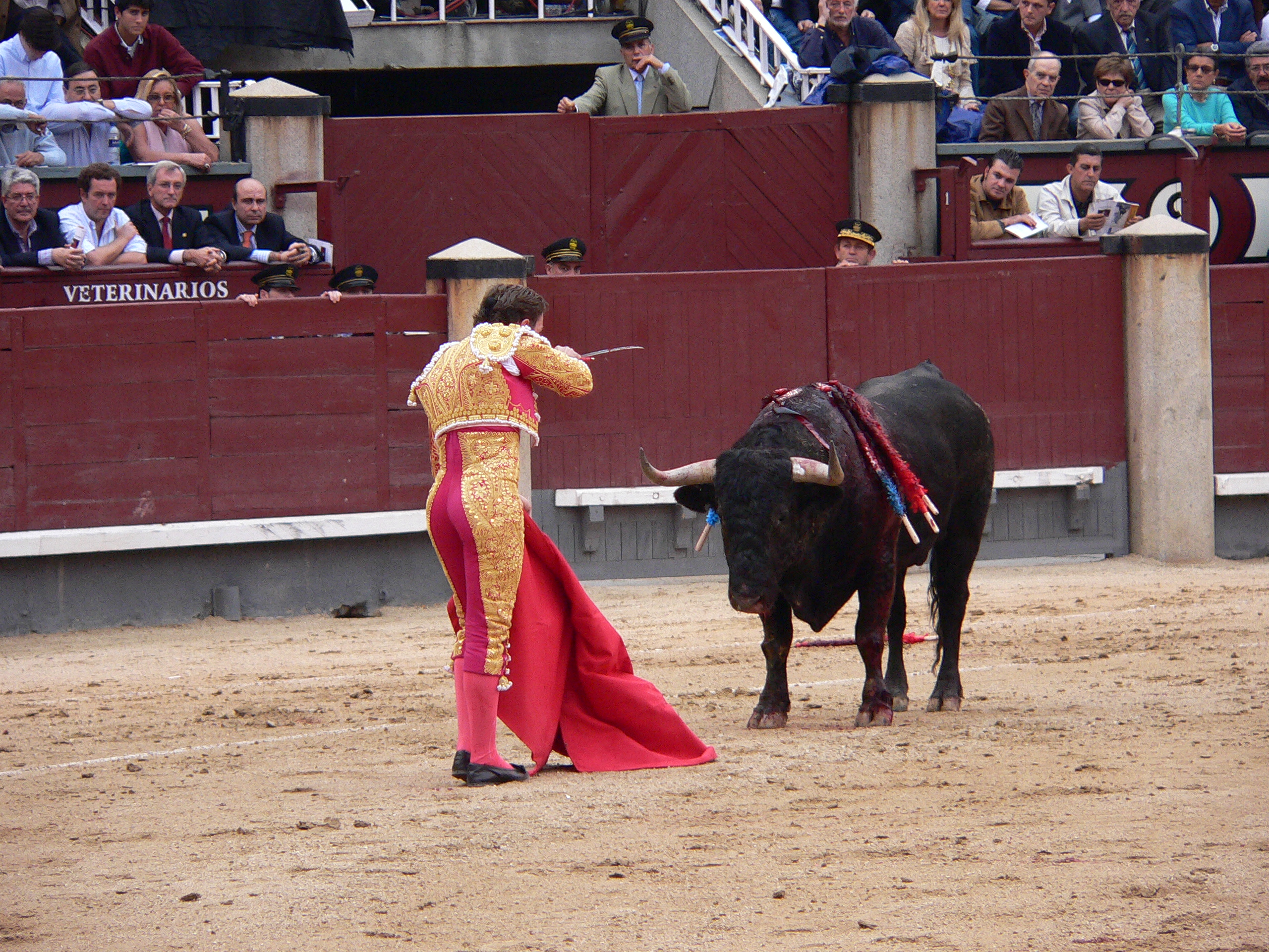 Bullfighting is a traditional Spanish event with a long history. It is especially common during local festivals in cities like Madrid and Seville.